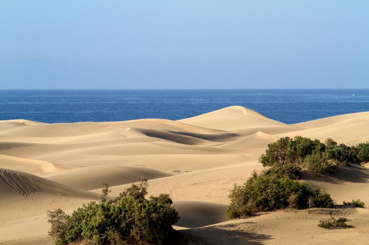 Bungalow En Maspalomas Maspalomas  Eksteriør bilde